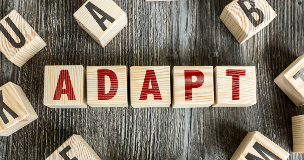 Image with the words "Adapt" written across.